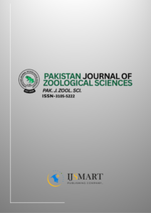 pjzs-cover